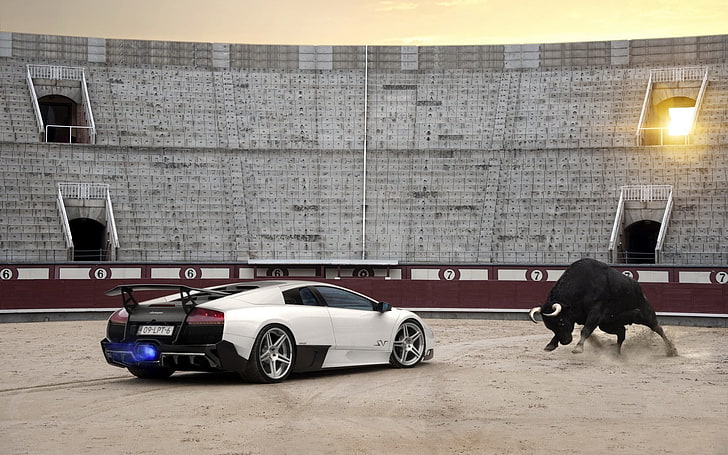 луксозни автомобили, Lamborghini, Bull, HD тапет