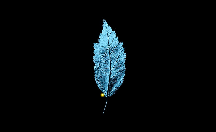 Fringe TV Series   A Leaf With An Embedded..., blue quill wallpaper, Movies, Other Movies, With, Leaf, Series, triangle, Fringe, Embedded, Isosceles, HD wallpaper