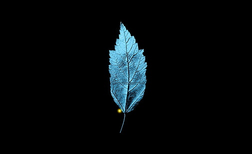 Fringe TV Series   A Leaf With An Embedded..., blue quill wallpaper, Movies, Other Movies, With, Leaf, Series, triangle, Fringe, Embedded, Isosceles, HD wallpaper HD wallpaper