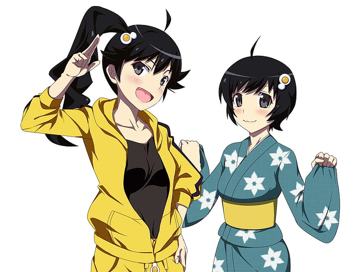 อะนิเมะ, สาวอะนิเมะ, Araragi Karen, Araragi Tsukihi, Monogatari Series, วอลล์เปเปอร์ HD