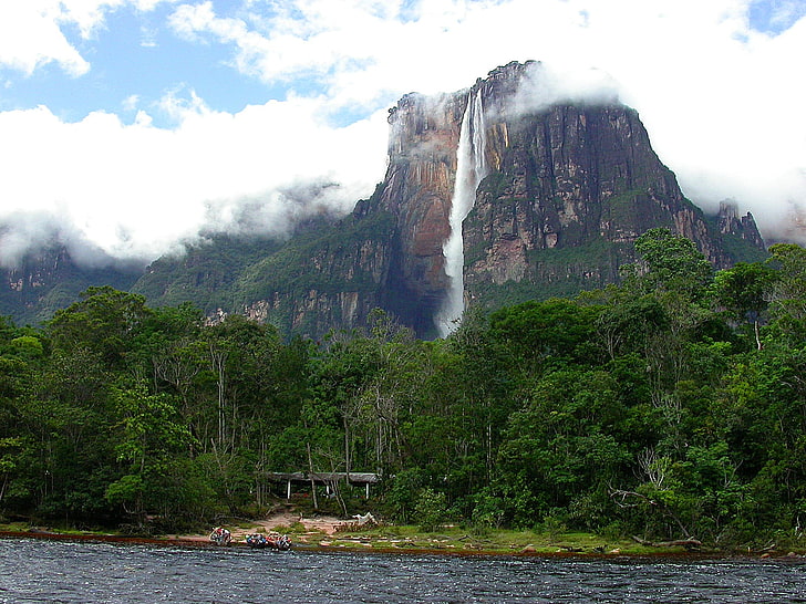 hutan di belakang gunung, gunung roraima, venezuela, roraima, lanskap, buram, Wallpaper HD