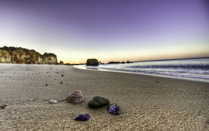 Shells Beach Ocean HD, conchas oceánicas, naturaleza, océano, playa, conchas, Fondo de pantalla HD