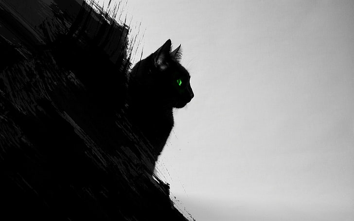 kucing hitam, hewan, kucing, seni digital, mata hijau, karya seni, hitam, abu-abu, Wallpaper HD