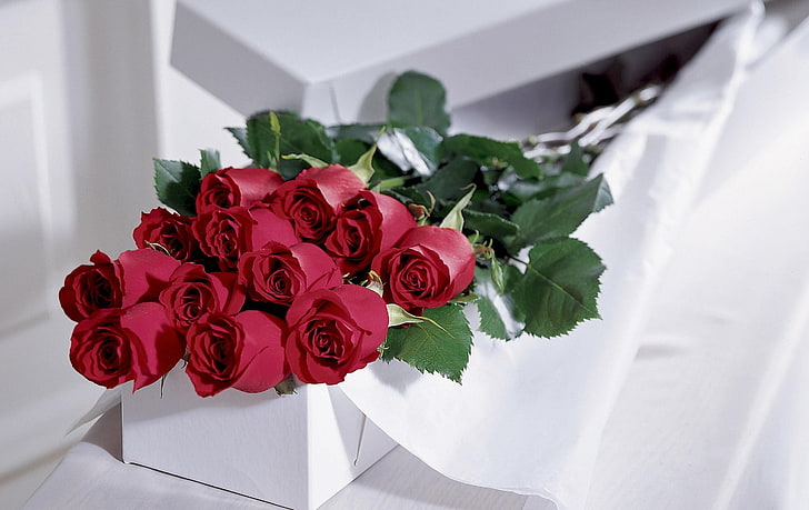 bouquet of red roses, roses, flowers, bouquet, elegant, box, HD wallpaper