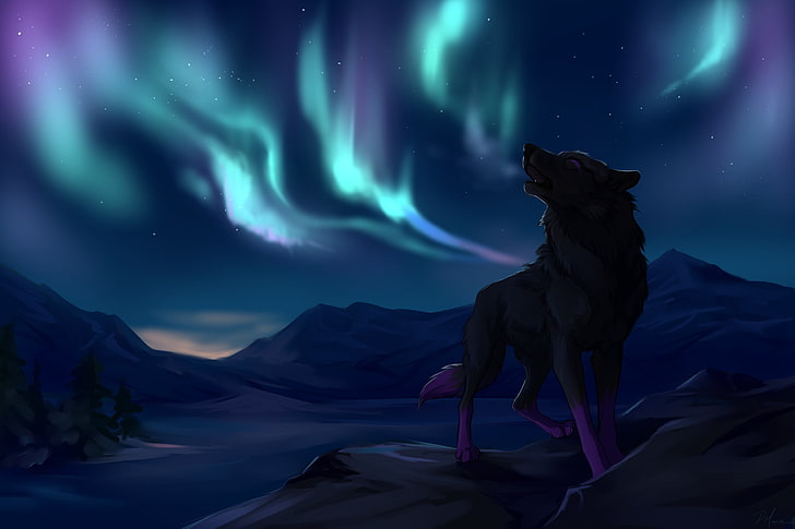 ilustrasi serigala abu-abu, pohon, gunung, serigala, bintang, lampu Utara, Wallpaper HD