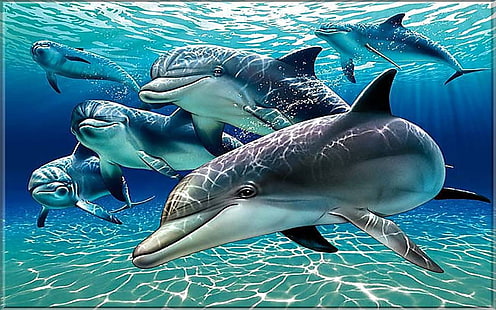 วอลล์เปเปอร์ Dolphins สำหรับพีซีแท็บเล็ตและมือถือดาวน์โหลด 1920 × 1200, วอลล์เปเปอร์ HD HD wallpaper