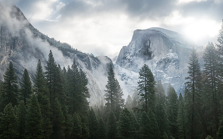 Yosemite Winter Fog Forest 4K HD Desktop, Wallpaper HD