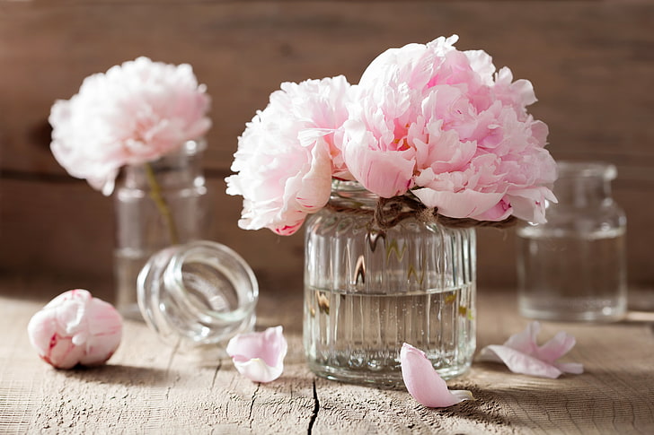 розовые пионы и белая стеклянная банка, цветы, розы, лепестки, натюрморт, розовые цветы, спа, HD обои