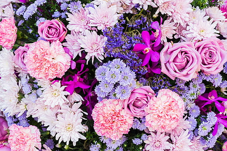  flowers, roses, Astra, carnation, HD wallpaper HD wallpaper
