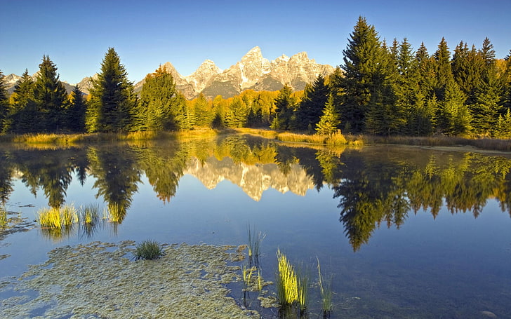 alam, air, gunung, refleksi, Taman Nasional Grand Teton, Wallpaper HD