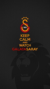 Galatasaray S.K., sepak bola, pesepakbola, Wallpaper HD HD wallpaper