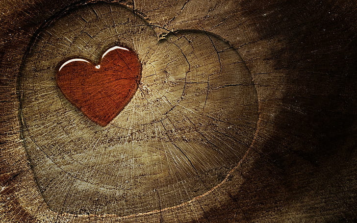 Heart, hearts, heart, cute, love, 3d and abstract, HD wallpaper