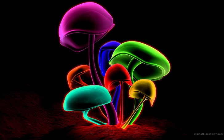 multicolor cgi mushrooms Abstract 3D and CG HD Art , cgi, multicolor, HD wallpaper