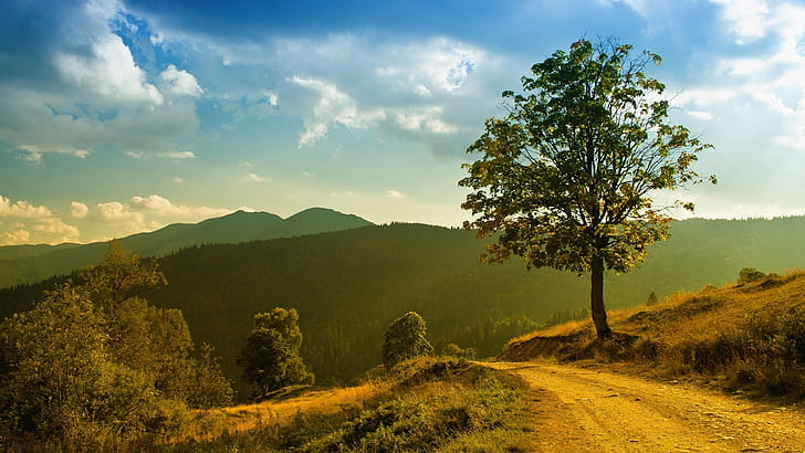 jalan, pohon, keturunan, gunung, kemiringan, langit, hari, jelas, Wallpaper HD