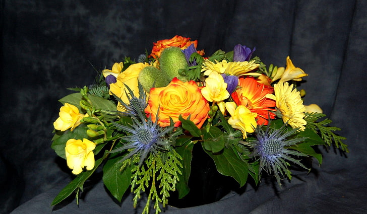 ดอกไม้ประดิษฐ์หลากสี, กุหลาบ, ฟรีเซีย, เยอบีร่า, องค์ประกอบ, การออกแบบ, วอลล์เปเปอร์ HD
