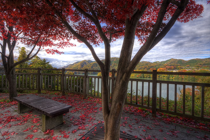 Cherry blossom, autumn, mountains, bench, nature, foliage, calm, beauty, HD  wallpaper | Wallpaperbetter