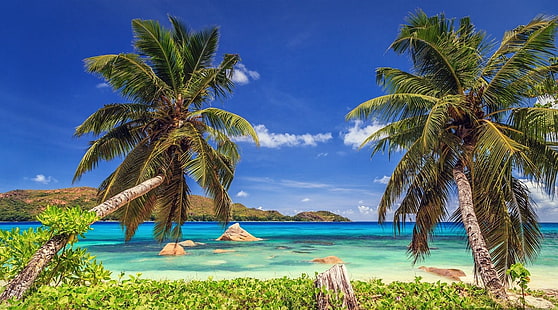 природа, пейзаж, тропически, плаж, остров, палми, море, лято, Сейшелски острови, HD тапет HD wallpaper