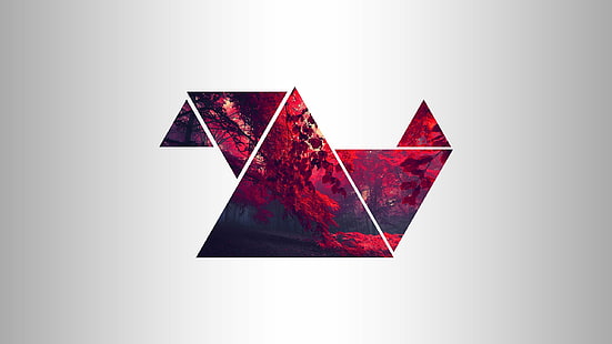 2560x1440 px bosque rojo Triángulo Cars BMW HD Art, rojo, bosque, triángulo, 2560x1440 px, Fondo de pantalla HD HD wallpaper