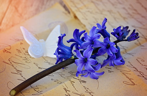 Hermoso jacinto azul, flor de pétalo púrpura, Vintage, azul, flor, primavera, madera, cerrar, romántico, fragante, flor, jacinto, floración, lindo, letras, primavera, antiguo, naturaleza muerta, escritura a mano, fragante flor, flor de primavera, mariposa deco, Fondo de pantalla HD HD wallpaper