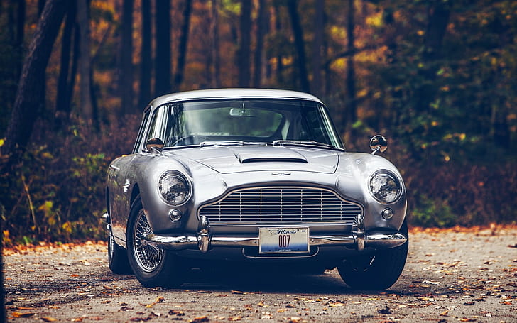 Aston Martin, Aston Martin DB5, mobil, Musim Gugur, hutan, James Bond, dedaunan, jalan, Wallpaper HD