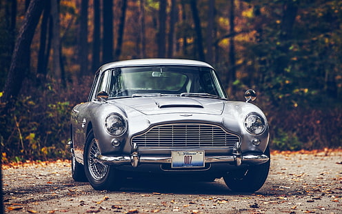 Aston Martin, Aston Martin DB5, auto, autunno, foresta, James Bond, foglie, strada, Sfondo HD HD wallpaper