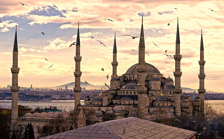 City Turkey Istanbul Sultan Ahmet Mosque, brown mosque, Europe, Turkey, City, istanbul, mosque, sultanahmet, sultanahmed, HD wallpaper
