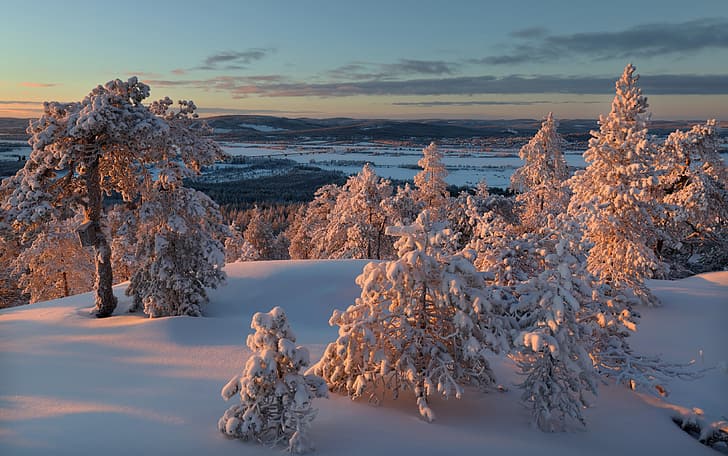 hiver, forêt, Finlande, Laponie, Ylitornio, Fond d'écran HD