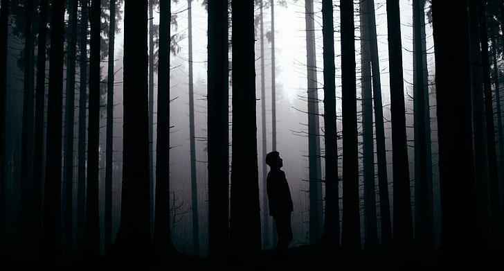 숲, 사람, 흑백, 실루엣, HD 배경 화면