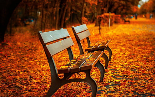 Fall Orange Autumn Leaves Park With Benches Desktop Backgrounds Hd 3840×2400, HD wallpaper HD wallpaper