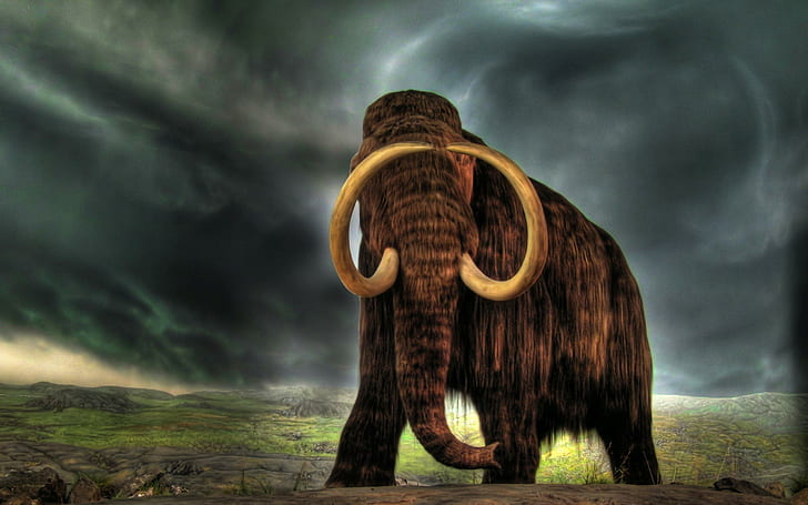 Mammoth Of Old, мамут, праисторически, животни, ледников период, небе, бури, бозайници, бивни, HD тапет