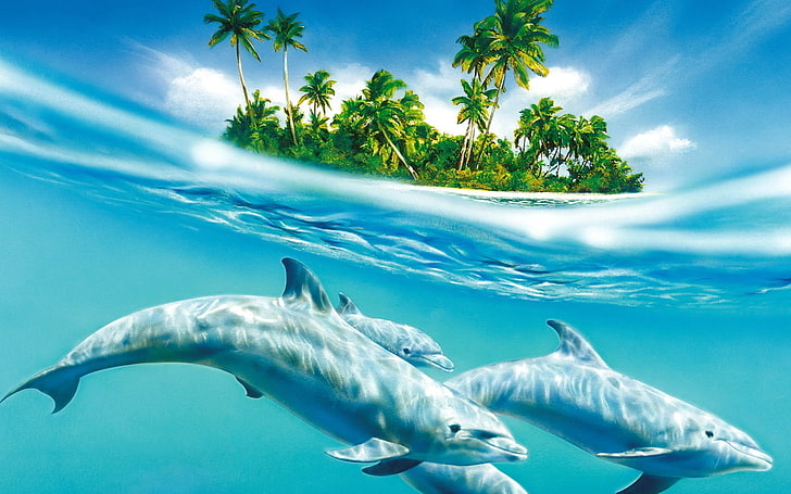 dolphin and island painting, dolphin, palm trees, wind, waves, sea, trees, HD wallpaper