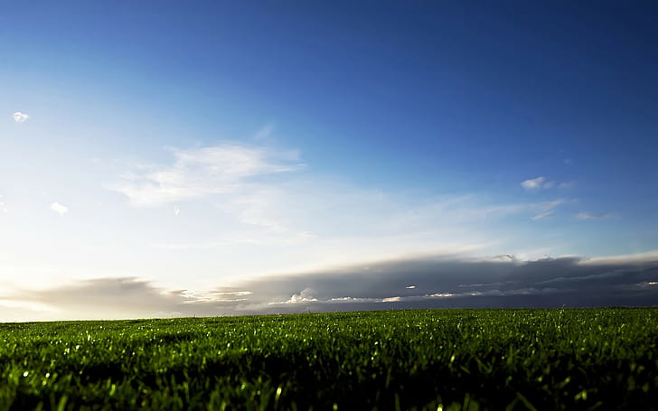 природа, трава, пейзаж, небо, облака, HD обои