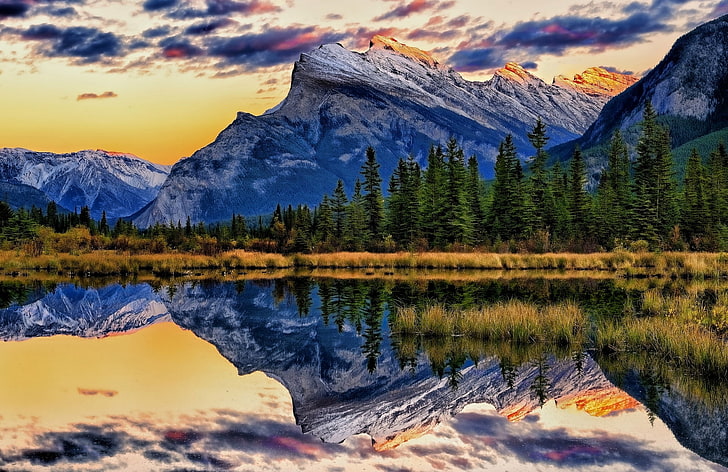 body of water and tree painting, mountains, lake, reflection, Canada, Albert, Banff National Park, Alberta, Banff, Mount Rundle, Vermillion Lakes, HD wallpaper