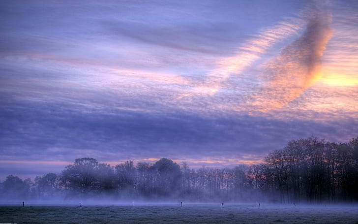 Morning, dawn, sunrise, clouds, fog, trees, Morning, Dawn, Sunrise, Clouds, Fog, Trees, HD wallpaper