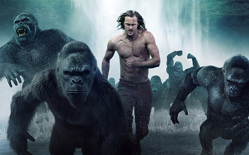 Rory J.Saper en tant que jeune Tarzan The Le, affiche du film Tarzan, films, films hollywoodiens, hollywood, gorille, 2016, la légende de tarzan, Fond d'écran HD HD wallpaper