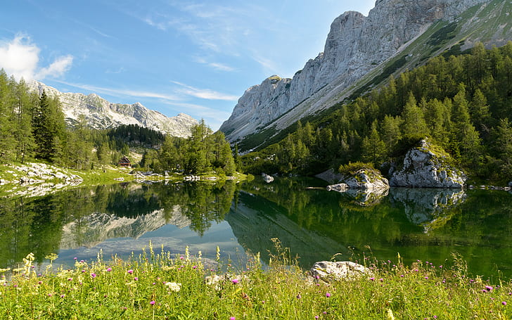 La Slovénie, le parc national du Triglav, Bohinj, la République de Slovénie, le lac de Bohinj, Fond d'écran HD