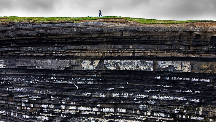 person standing on cliff photo, Ireland, nature, people, walking, men, rock, seagulls, birds, overcast, gray, grass, cliff, HD wallpaper