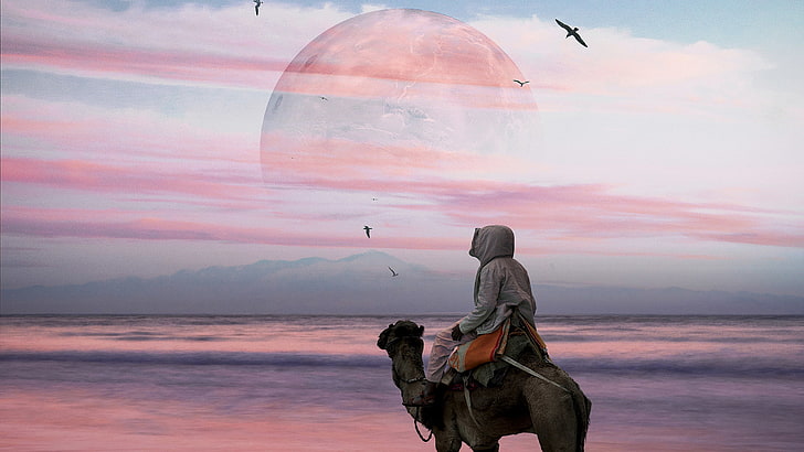 develer, Hani Jamal, HD masaüstü duvar kağıdı