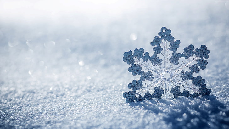 snowflake, winter, 4K, snow, HD wallpaper