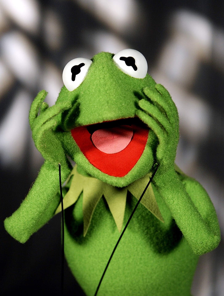 kermit, o sapo, o show de muppet 2086x2754 Animais sapos HD Art, Kermit o sapo, o show de muppet, HD papel de parede, papel de parede de celular