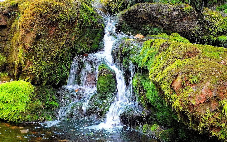 Водопад Moss HD, природа, водопад, мъх, HD тапет