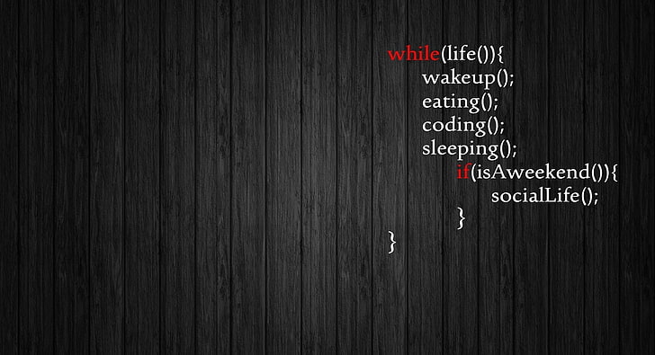Kehidupan, teks kode pemrograman, Artistik, Tipografi, coding, komputer, java, pemrograman, lucu, Wallpaper HD