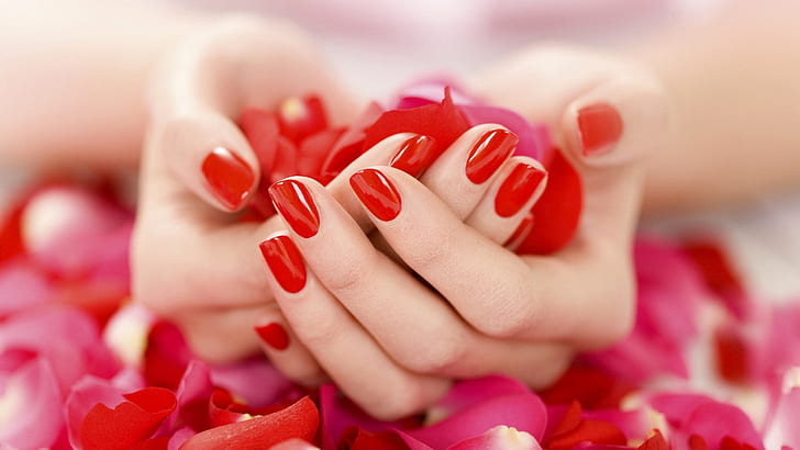 Mani in possesso di petali rossi, mano, rosso, petali, Sfondo HD