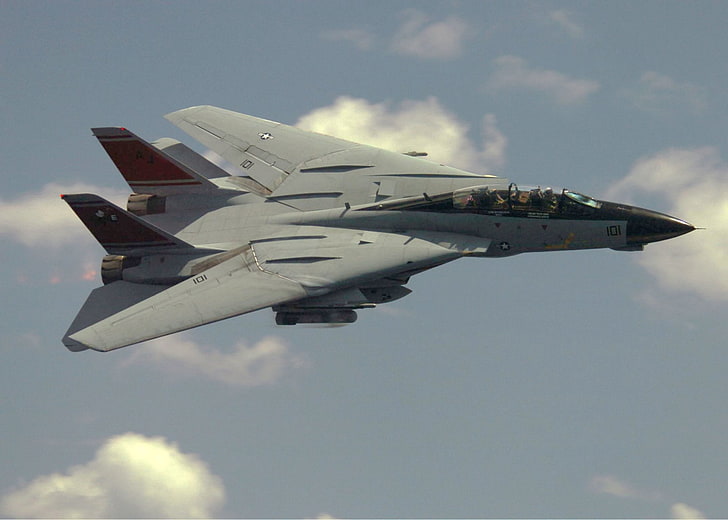 Jet Fighters, Grumman F-14 Tomcat, Wallpaper HD