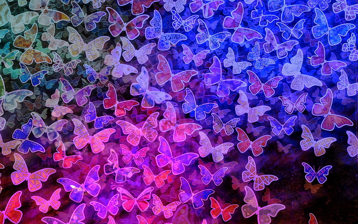 Schmetterling, Muster, HD-Hintergrundbild