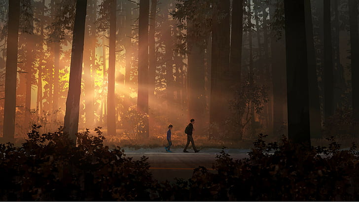 life is strange 2, life is strange, games, pc games, ps games, xbox games, hd, HD wallpaper