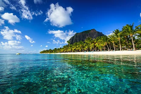 rocha, palmeiras, o oceano, costa, barcos, Oceano Índico, Maurício, Oceano Índico, Le Morne Brabant, HD papel de parede HD wallpaper