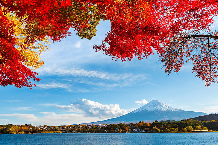 body of water, autumn, the sky, leaves, clouds, snow, trees, lake, Japan, mountain, Fuji, HD wallpaper