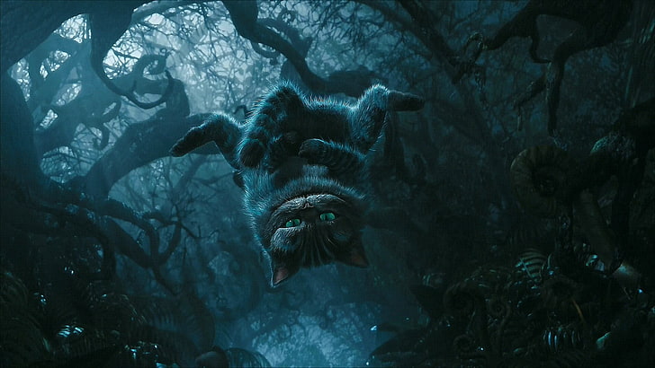 Movie, Alice in Wonderland (2010), HD wallpaper