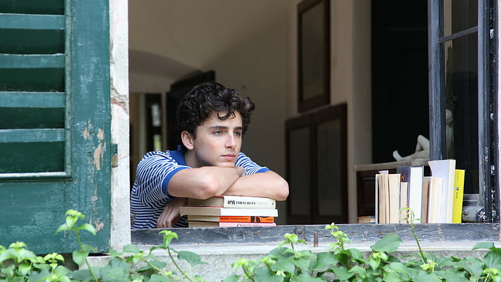 person resting face on stack of books, Call Me by Your Name, Timothee Chalamet, 5k, HD wallpaper